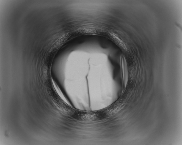 X0000097000213200802291155