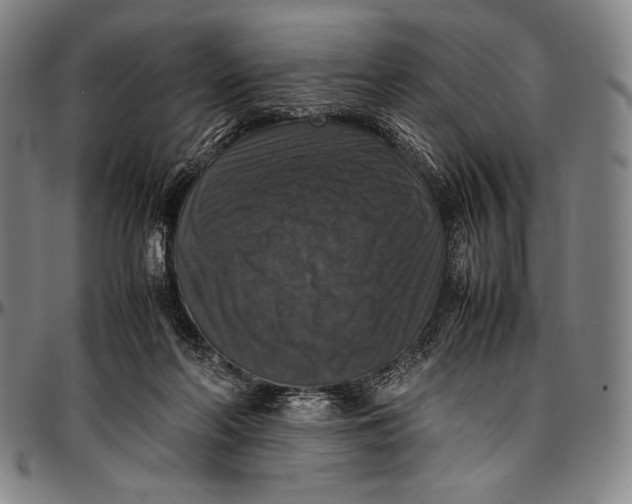 X0000097000214200802291155