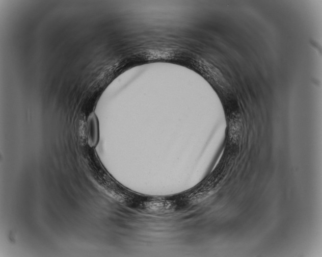 X0000097000215200802291155