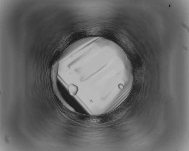 X0000097000217200802291155