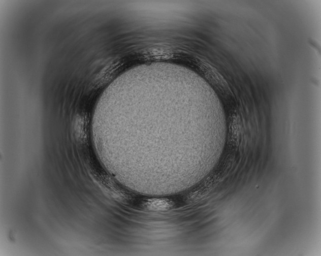 X0000097000218200802291155