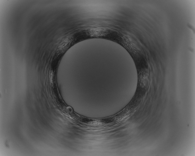 X0000097000219200802291155