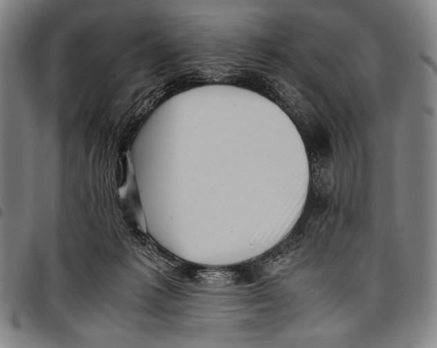 X0000097000221200802291155