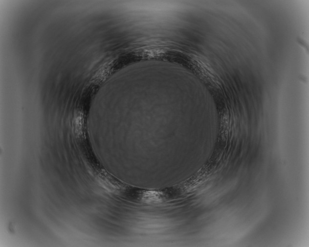 X0000097000222200802291155