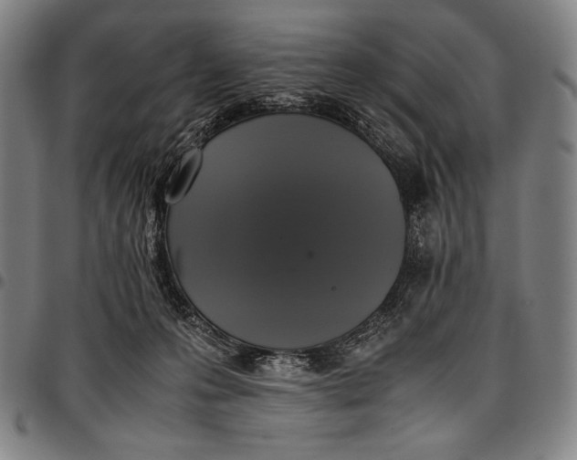 X0000097000223200802291155