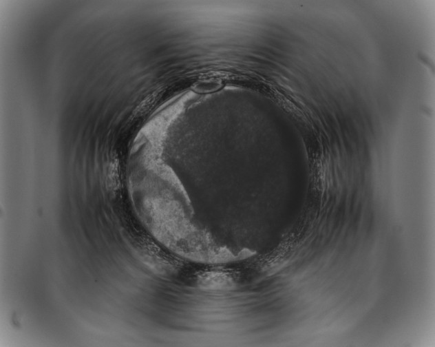 X0000097000224200802291155