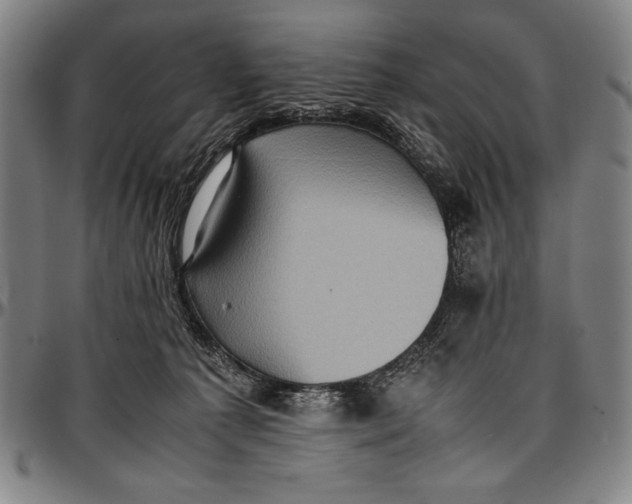 X0000097000225200802291155