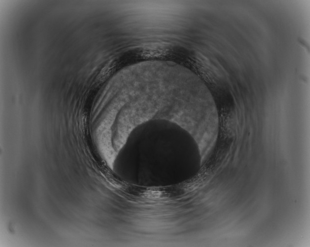 X0000097000227200802291155