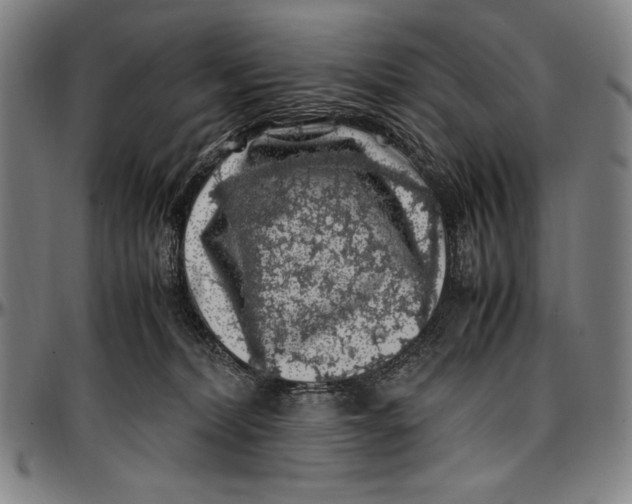 X0000097000228200802291155