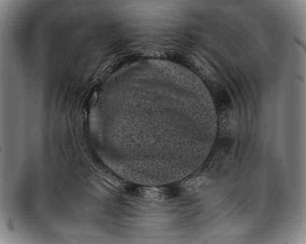 X0000097000229200802291155