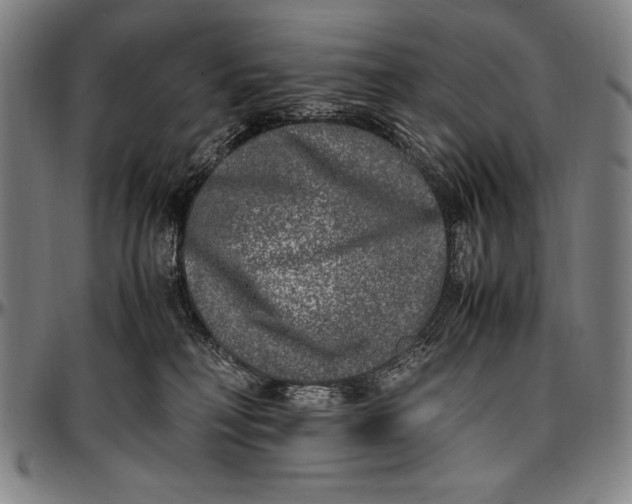 X0000097000230200802291155