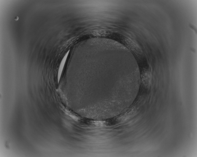 X0000097000233200802291155