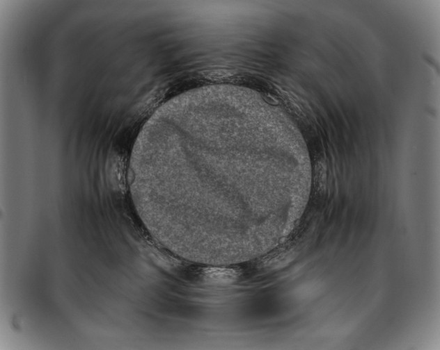 X0000097000234200802291155