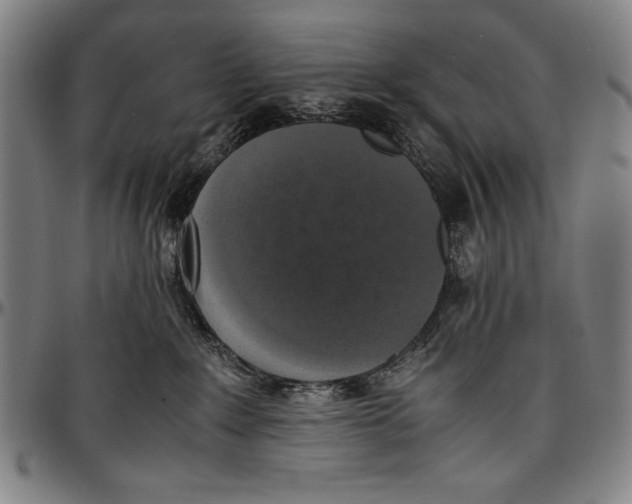 X0000097000235200802291155