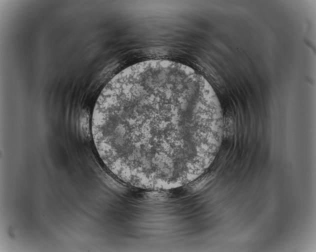 X0000097000238200802291155