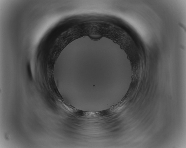 X0000097000239200802291155