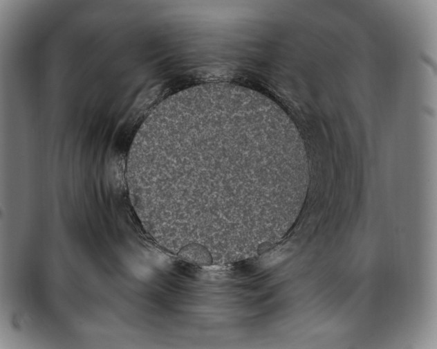 X0000097000240200802291155