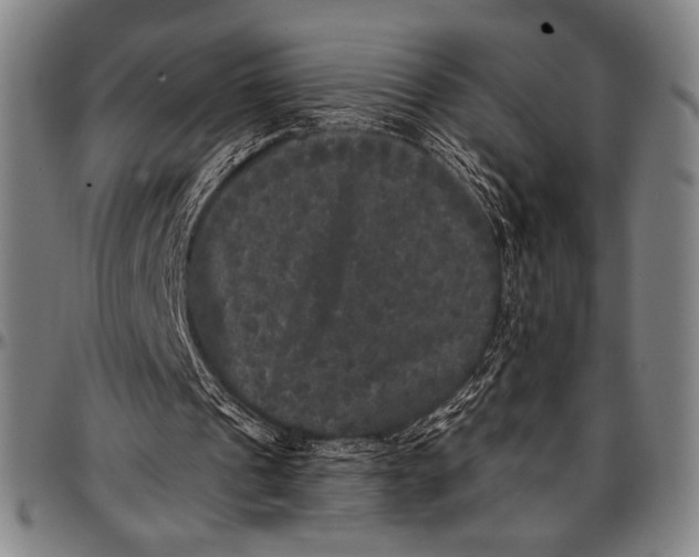 X0000097000241200802291154