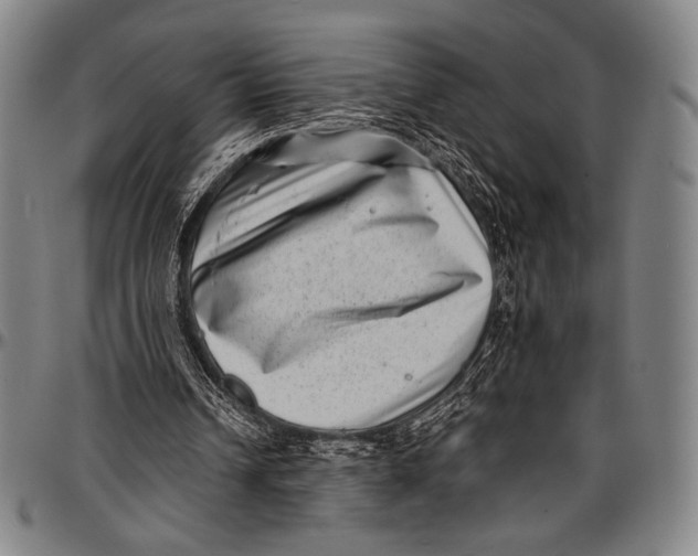 X0000097000242200802291154