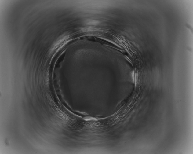 X0000097000243200802291154