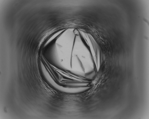 X0000097000244200802291154