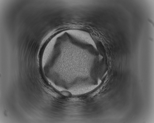 X0000097000246200802291154