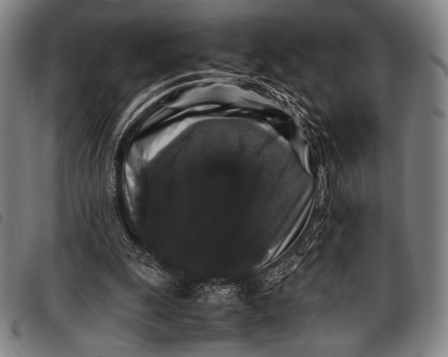 X0000097000247200802291154