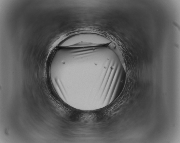 X0000097000248200802291154