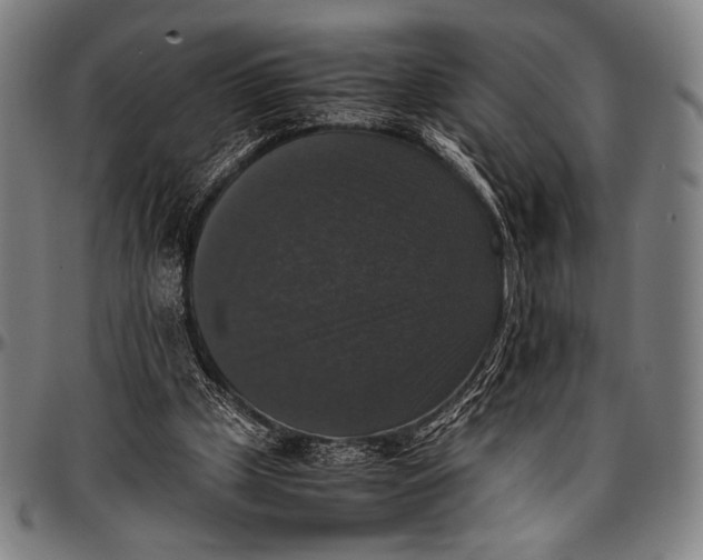 X0000097000249200802291154