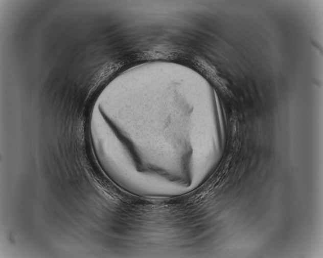 X0000097000250200802291154