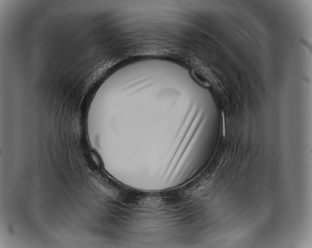 X0000097000252200802291154