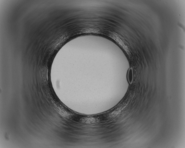 X0000097000253200802291154