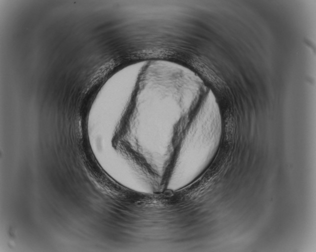 X0000097000254200802291154