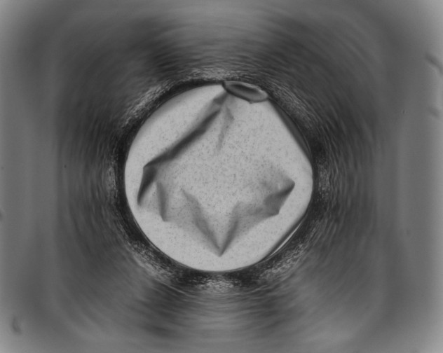 X0000097000256200802291154