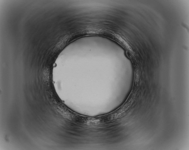 X0000097000257200802291154