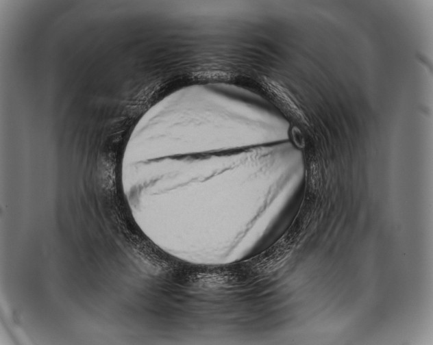 X0000097000259200802291154