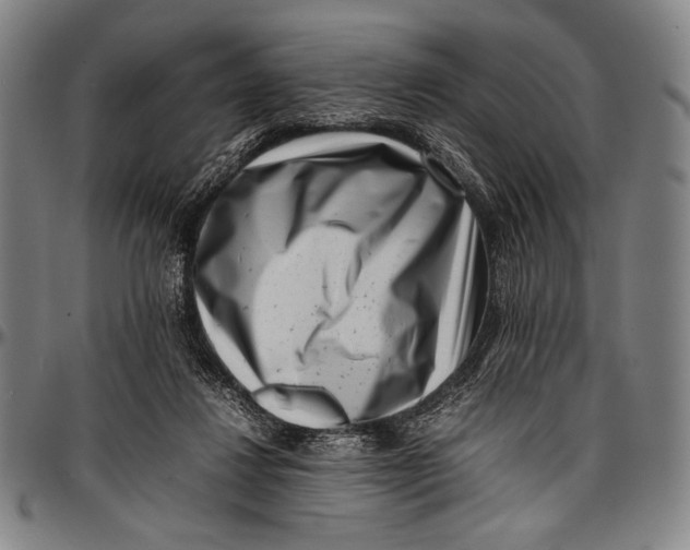 X0000097000260200802291154