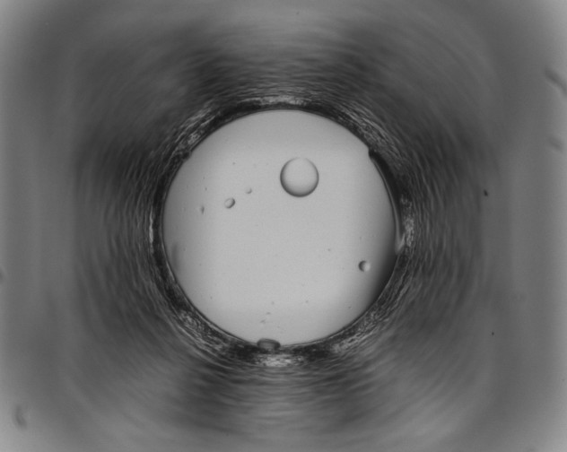 X0000097000264200802291154