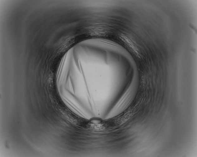 X0000097000265200802291154