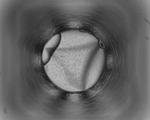 X0000097000268200802291154