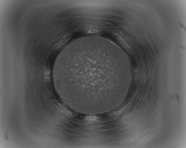 X0000097000269200802291154