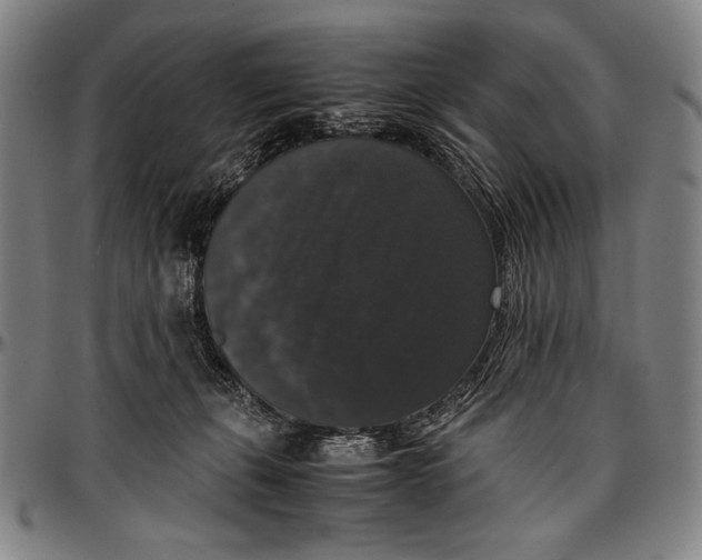 X0000097000271200802291154