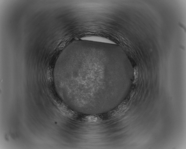 X0000097000272200802291154