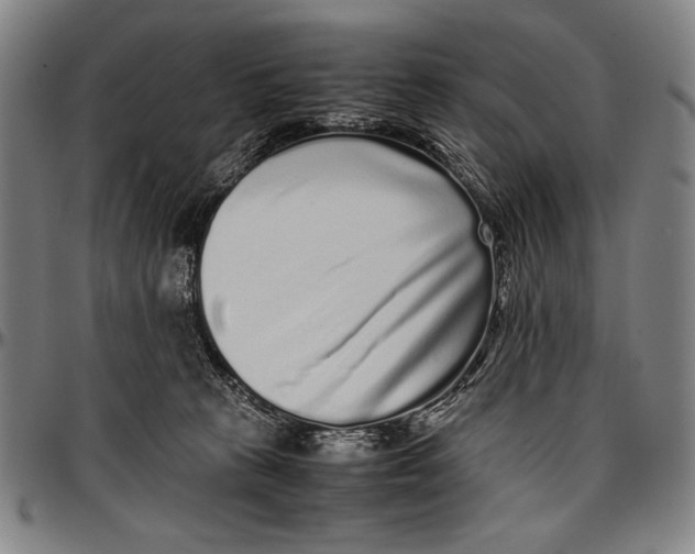 X0000097000273200802291154