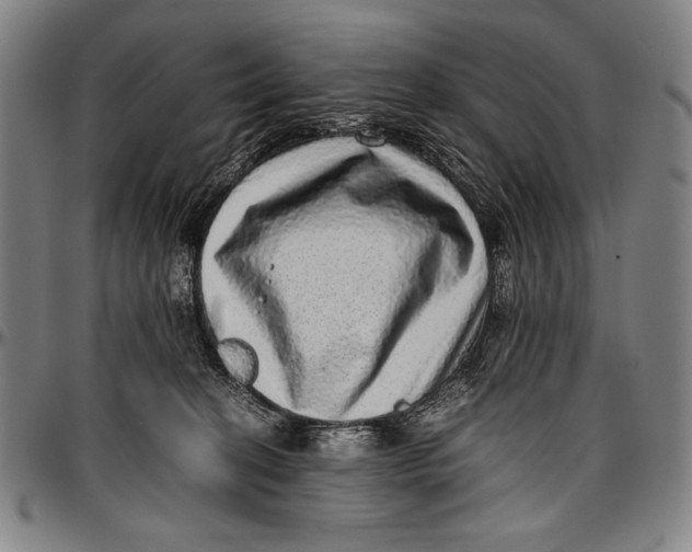 X0000097000274200802291154