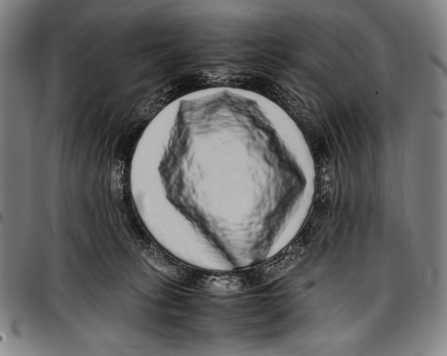 X0000097000275200802291154