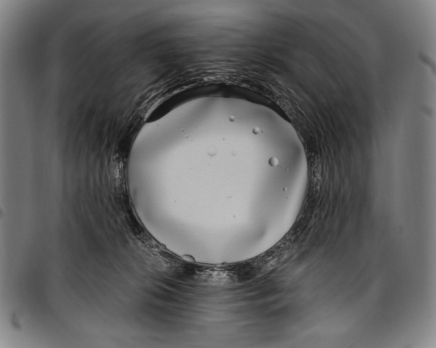 X0000097000276200802291154