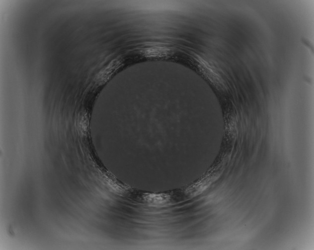 X0000097000277200802291154