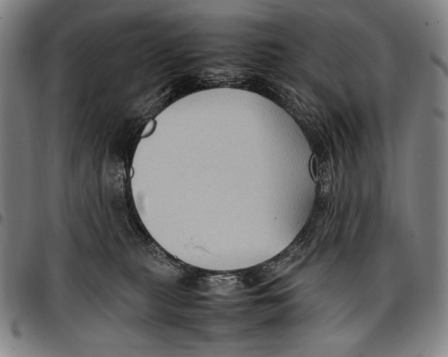 X0000097000279200802291154