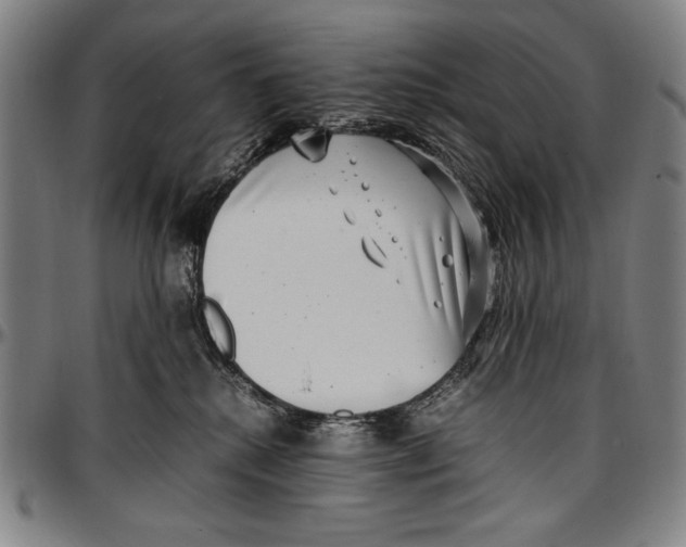 X0000097000280200802291154